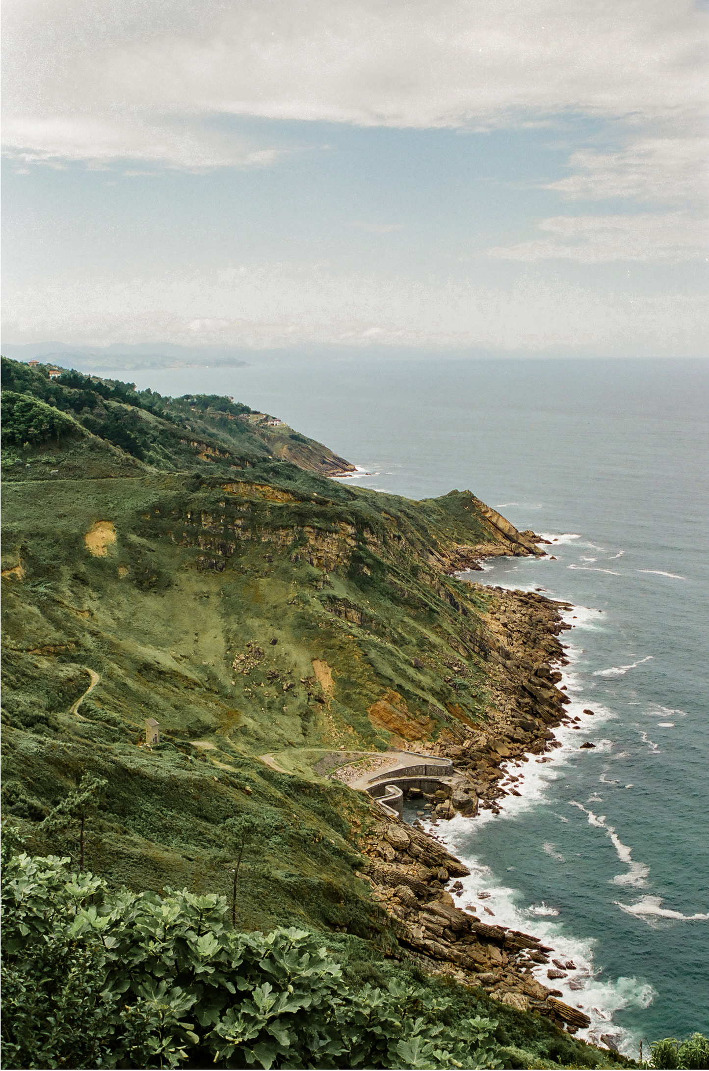 Vintage San Sebastion, Three: On Film