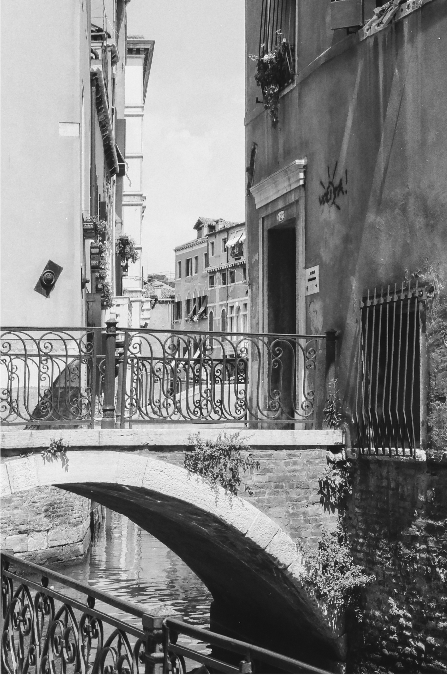 Vintage Venice, Six: On Film