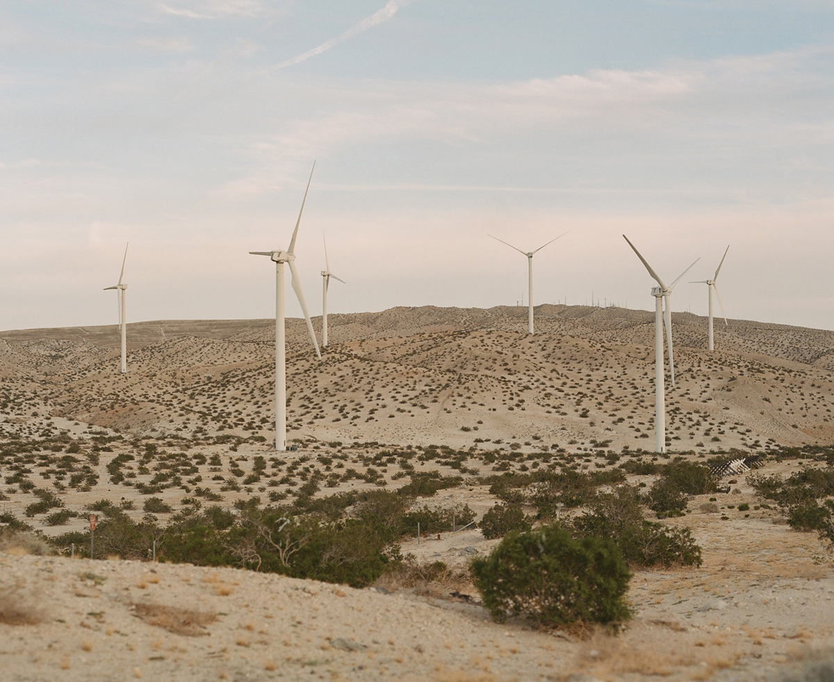 Wind Field, Four: On Film