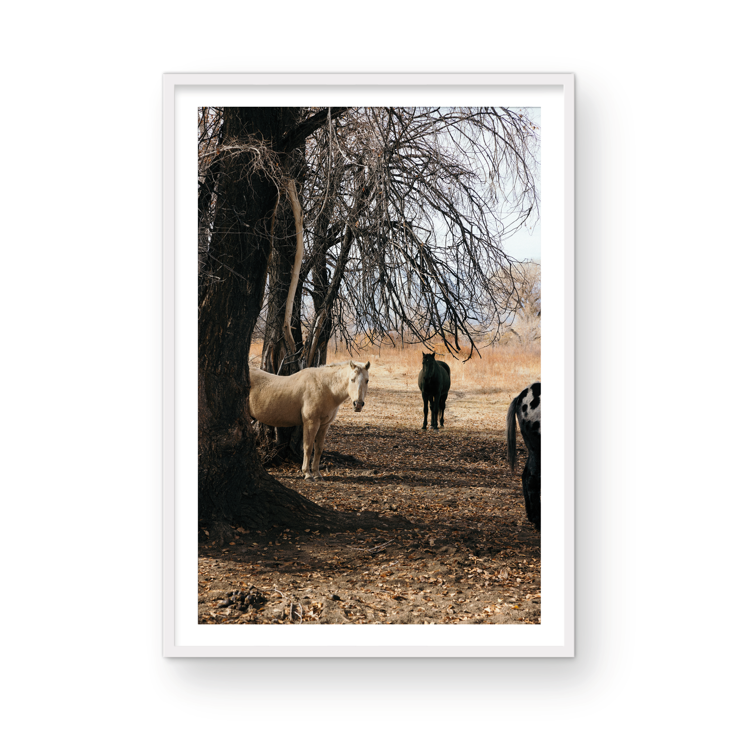 Mule Days, Ten
