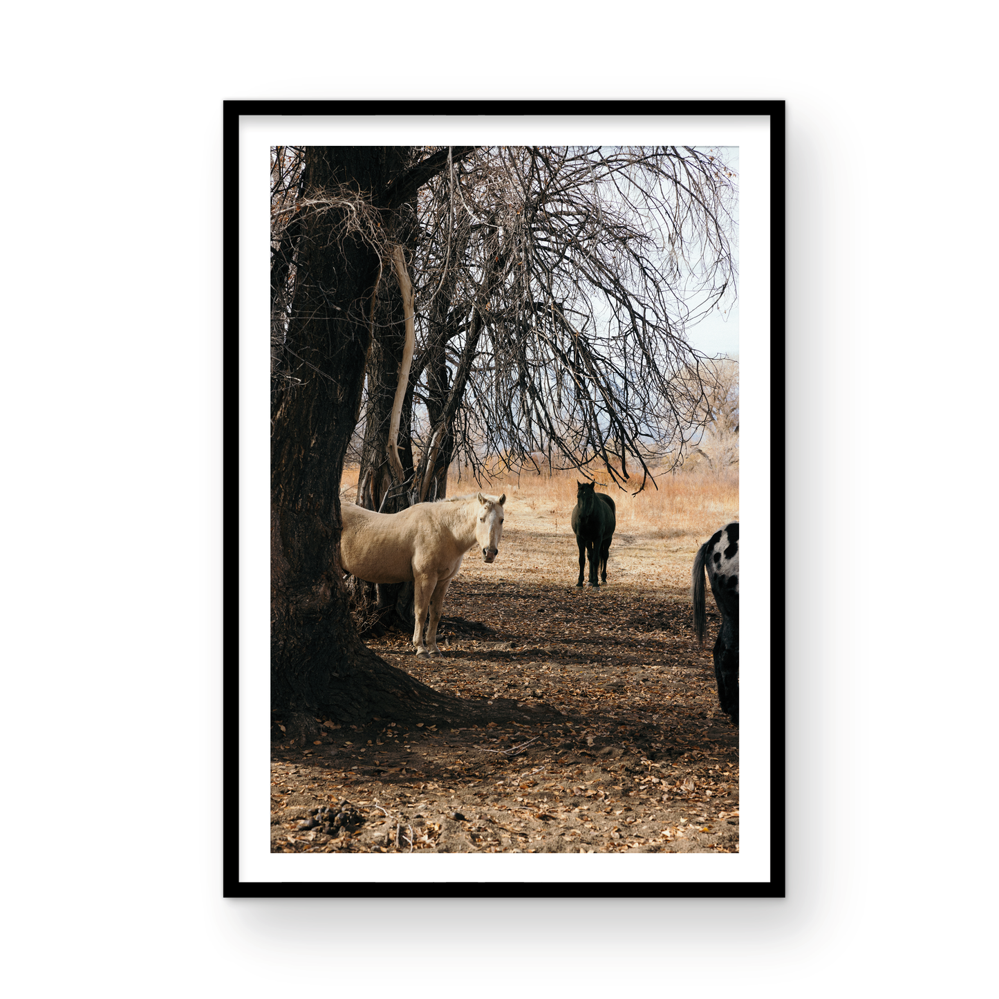 Mule Days, Ten