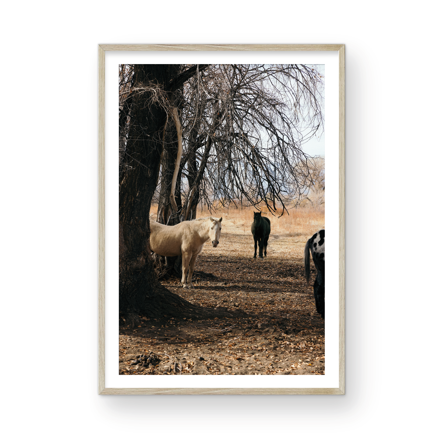 Mule Days, Ten