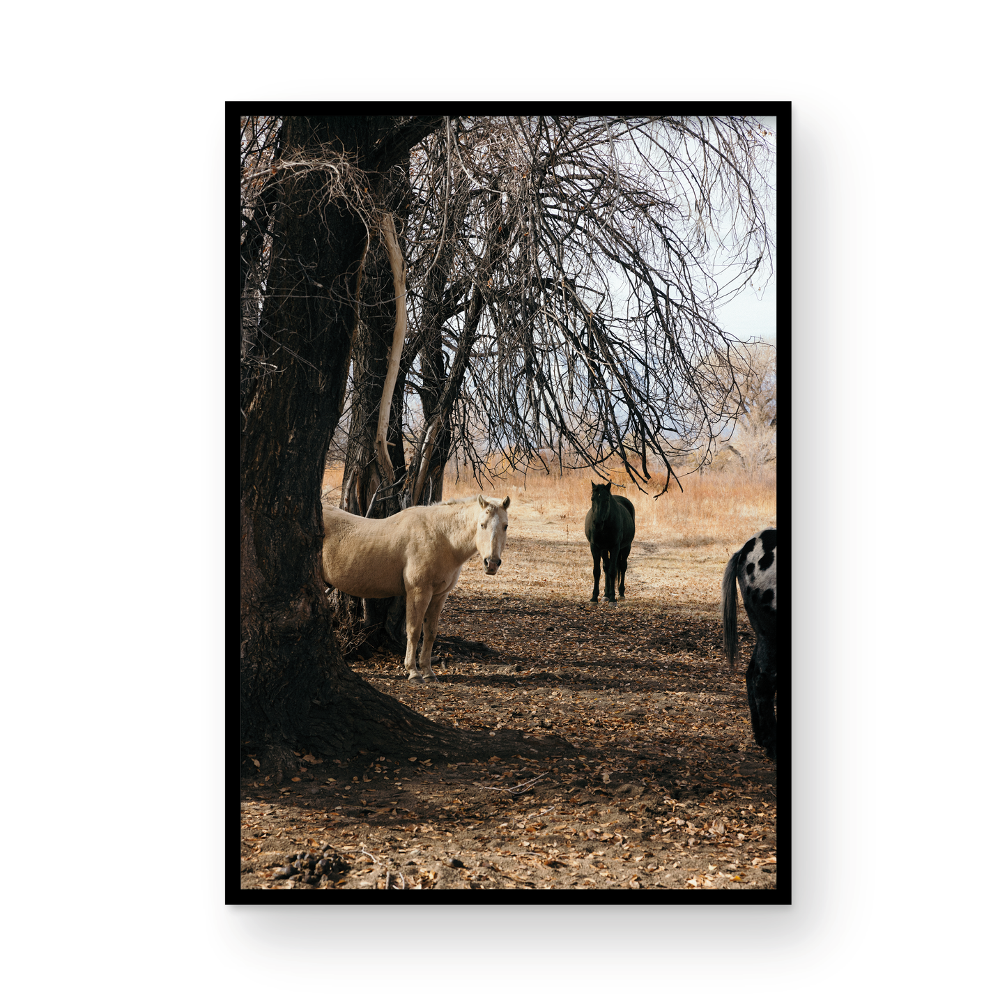 Mule Days, Ten