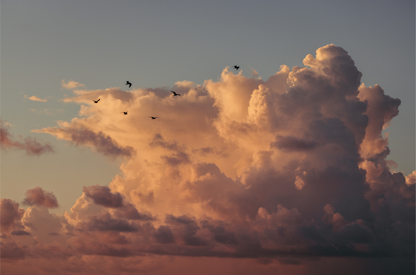 Cloud Study, Four