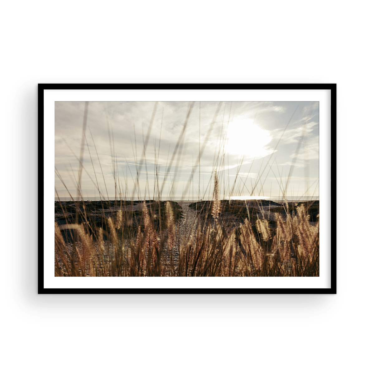 Coronado Island, Four