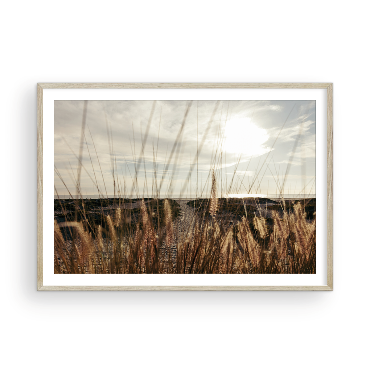 Coronado Island, Four