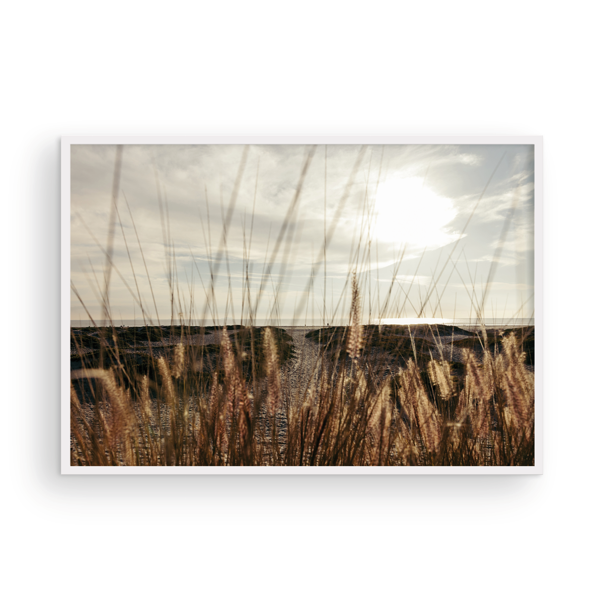 Coronado Island, Four