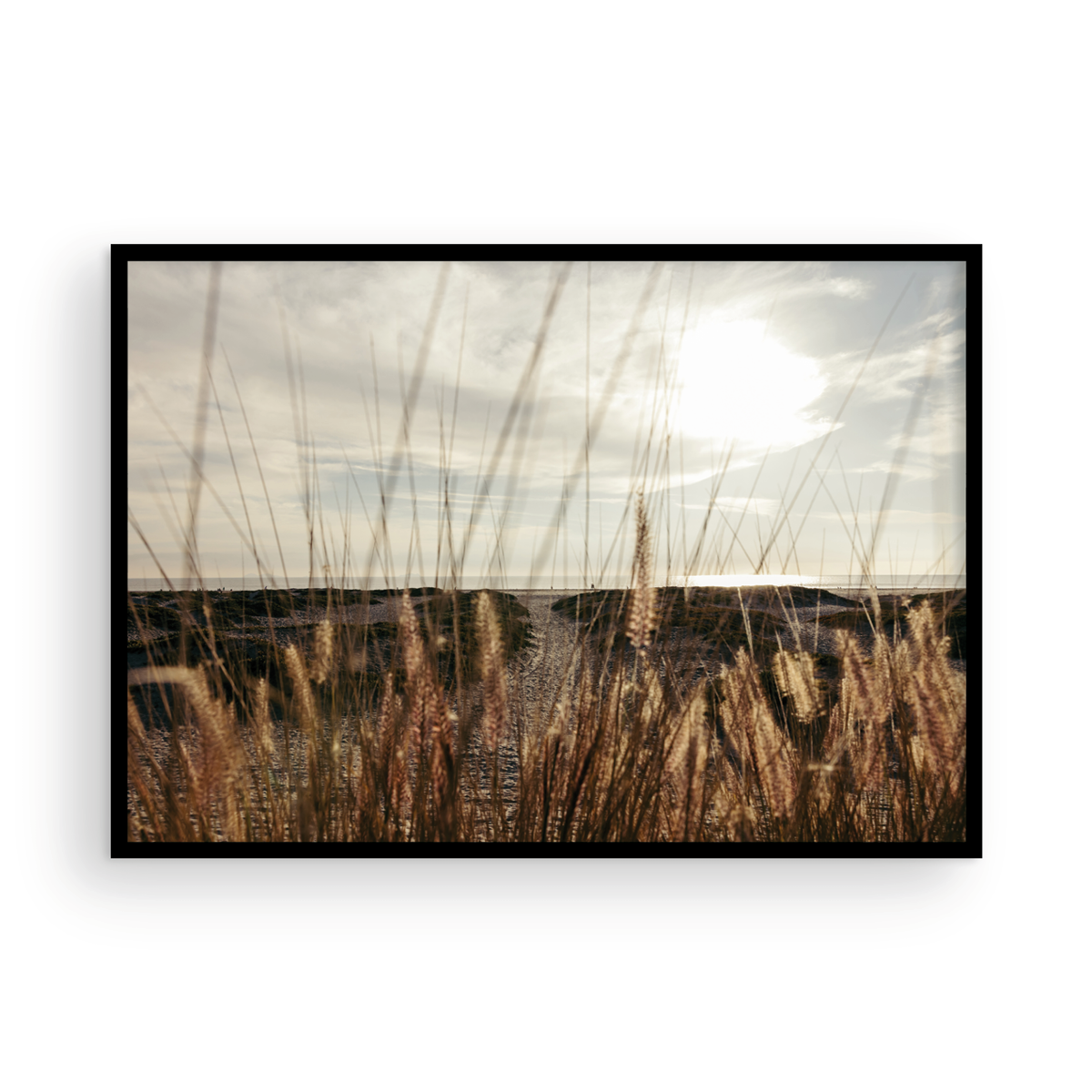 Coronado Island, Four