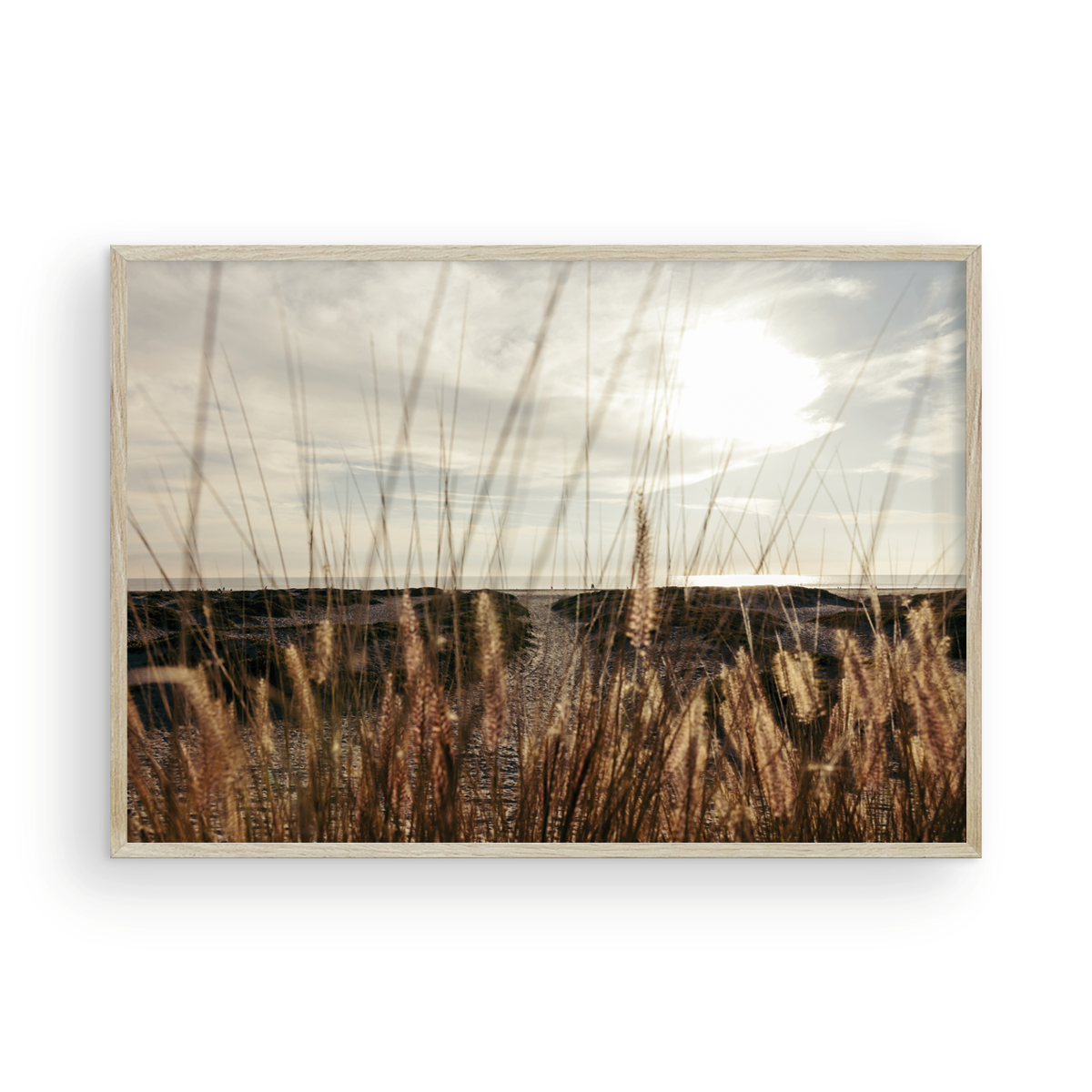 Coronado Island, Four