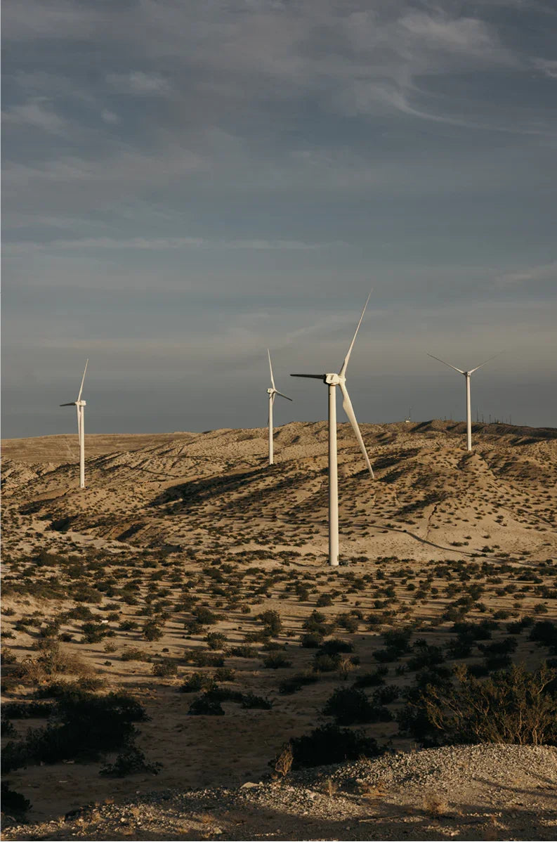 Wind Field, Three