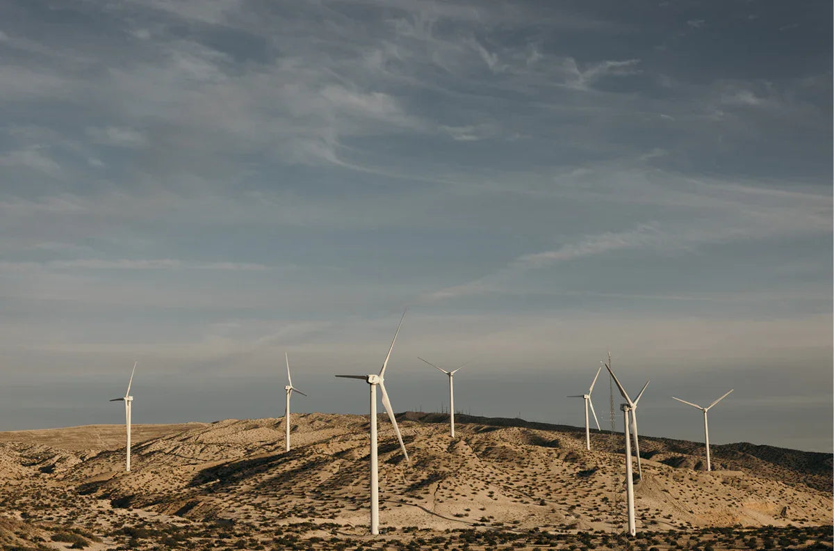 Wind Field, Two