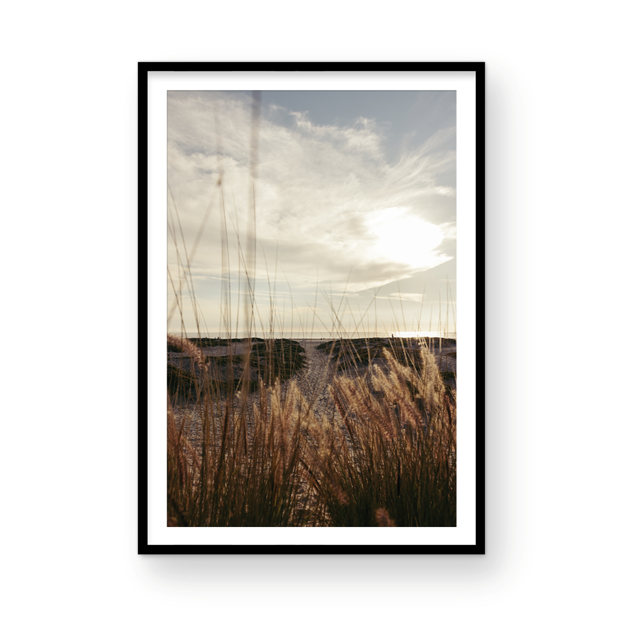 Coronado Island, Five