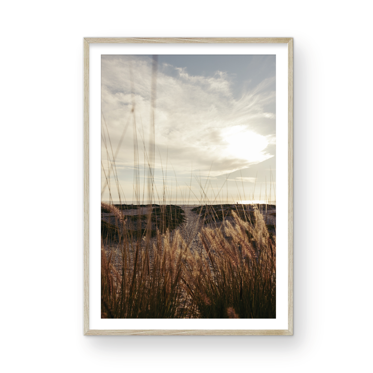 Coronado Island, Five