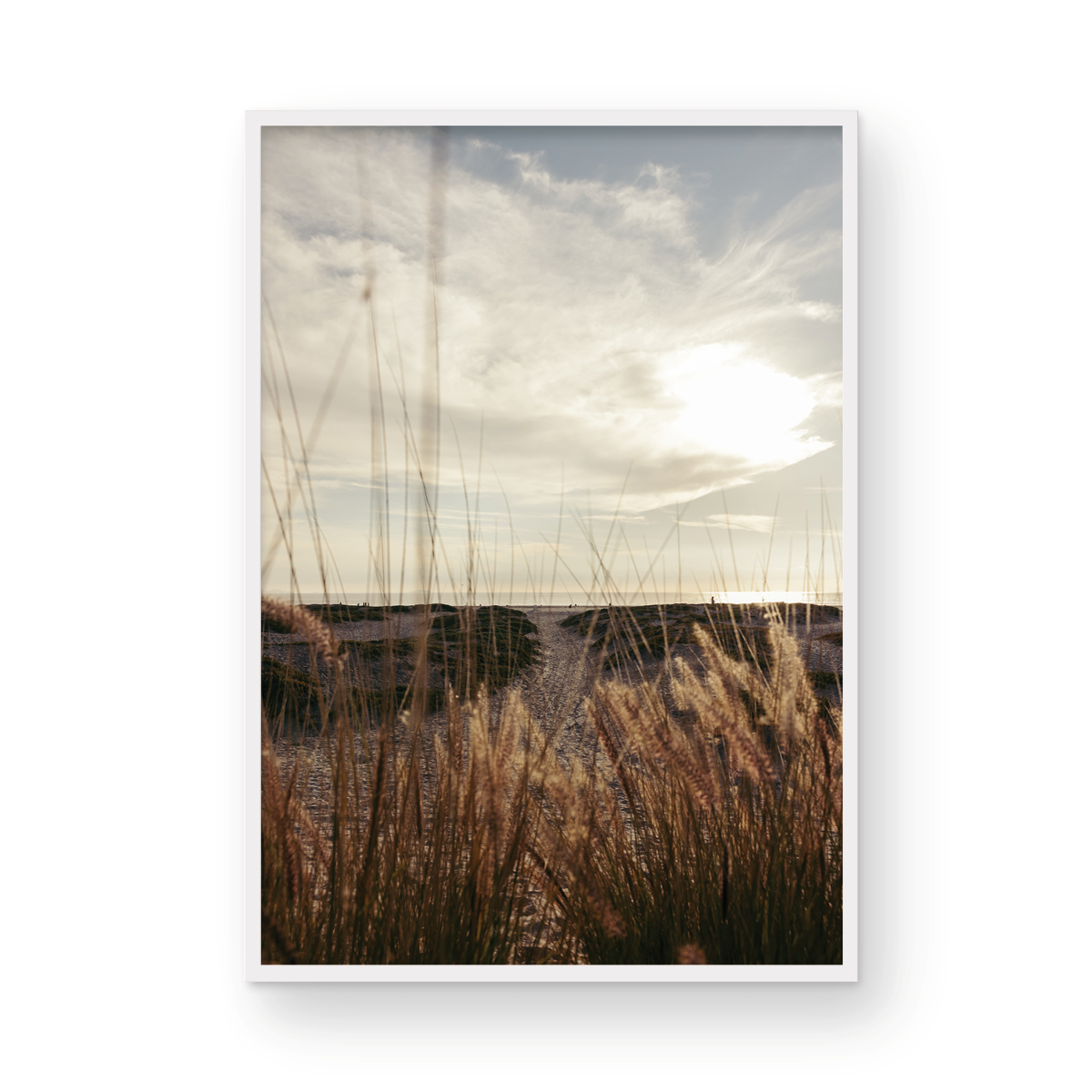 Coronado Island, Five
