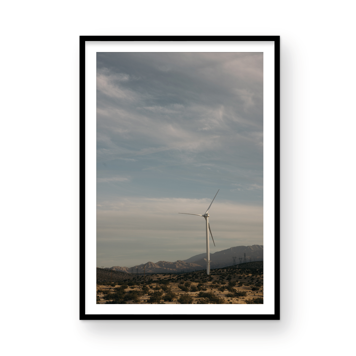 Wind Field, One