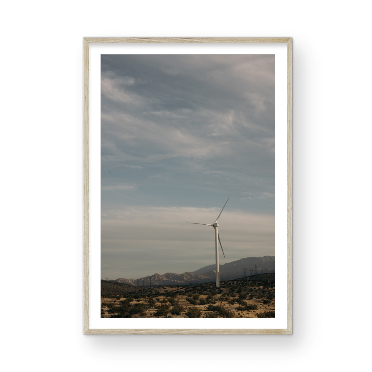 Wind Field, One