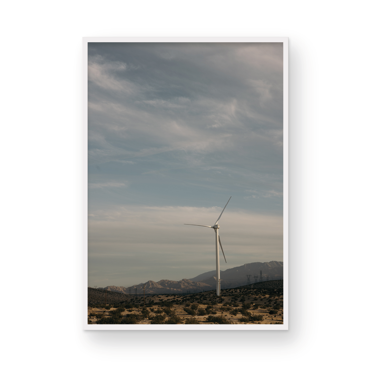Wind Field, One
