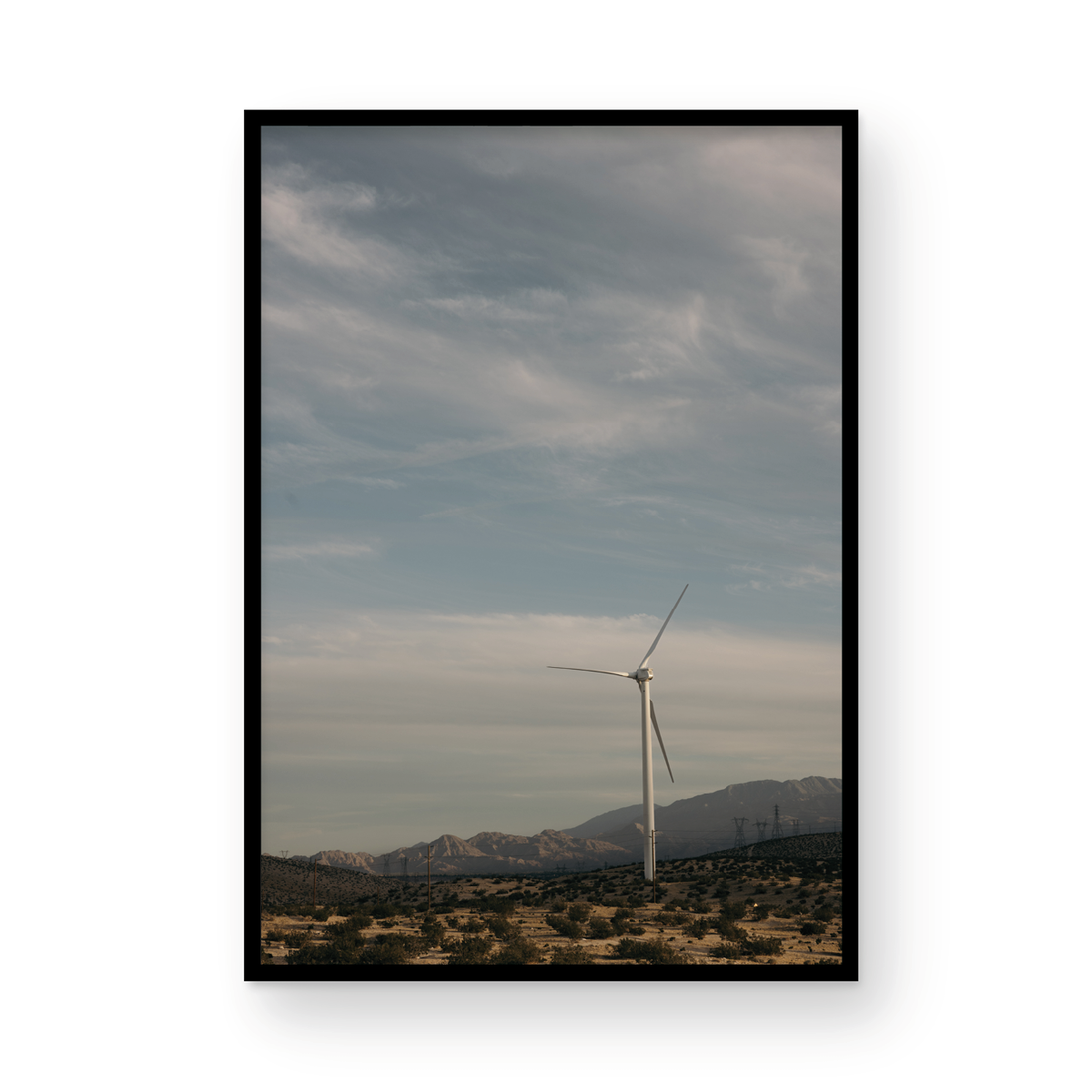 Wind Field, One