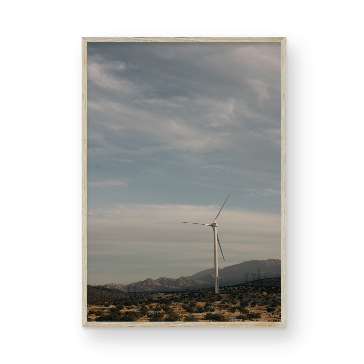 Wind Field, One