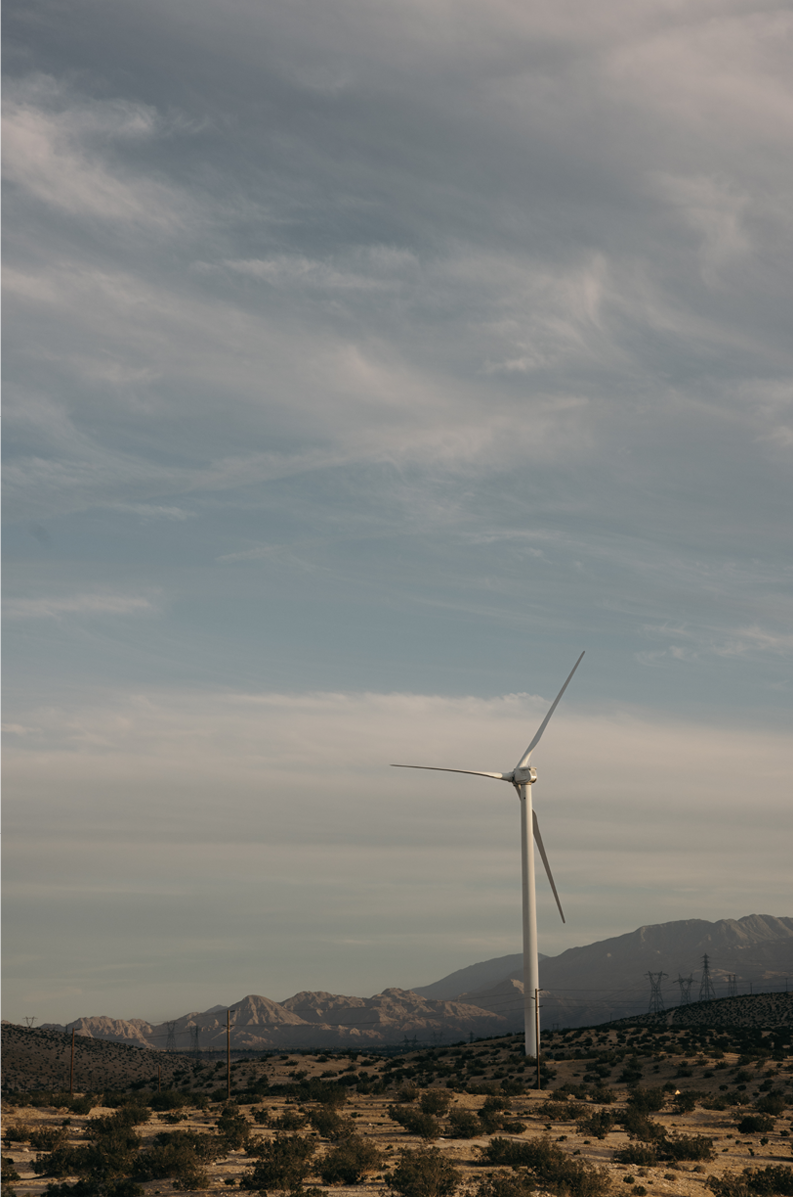 Wind Field, One
