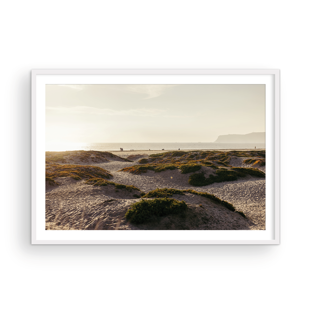 Coronado Island, Six