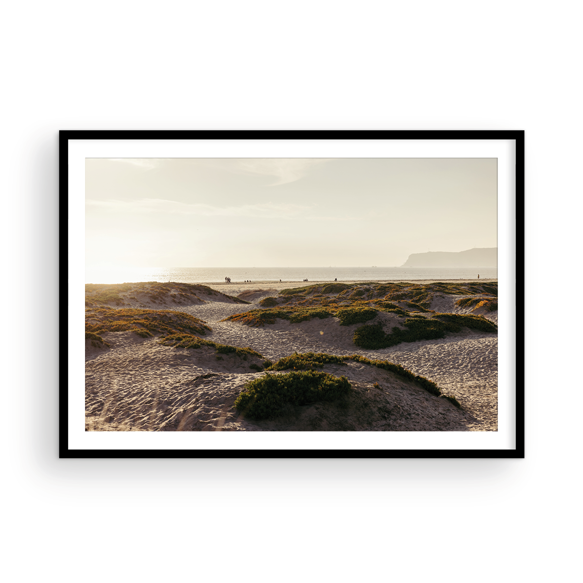 Coronado Island, Six