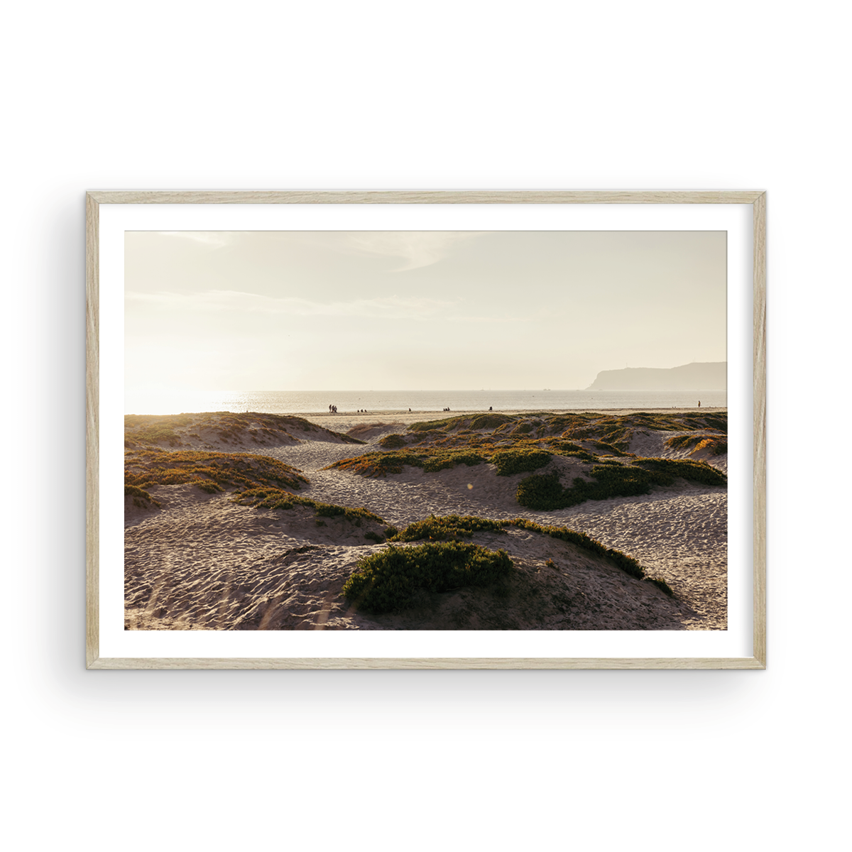 Coronado Island, Six