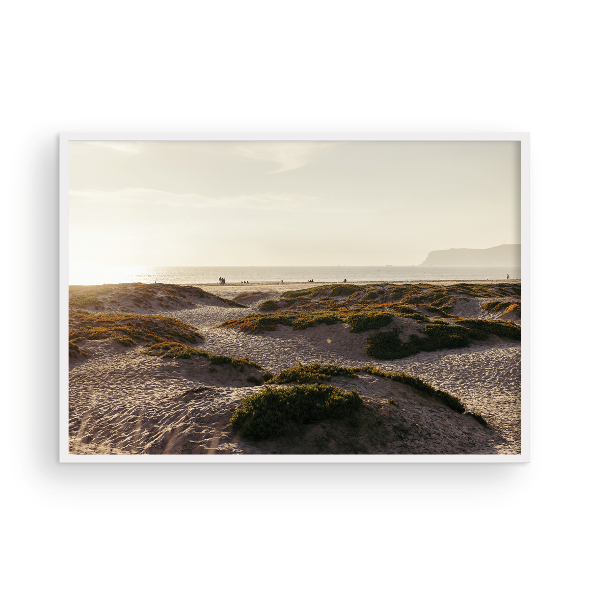 Coronado Island, Six
