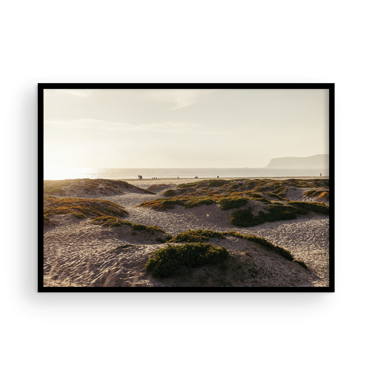 Coronado Island, Six