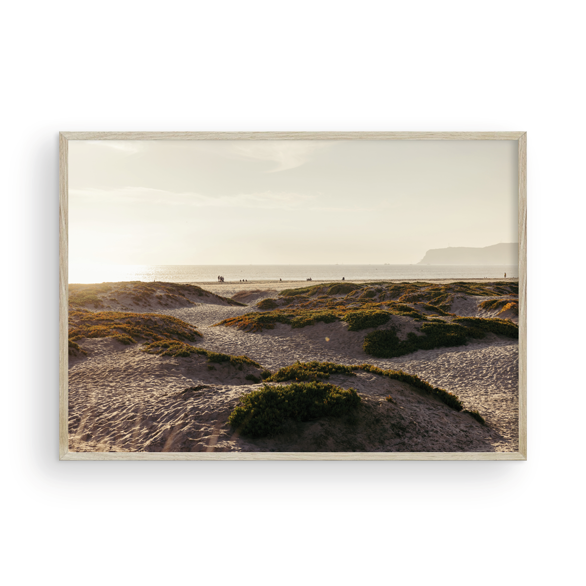 Coronado Island, Six