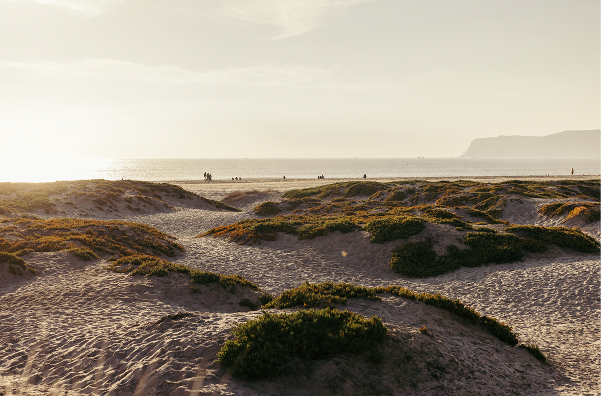 Coronado Island, Six
