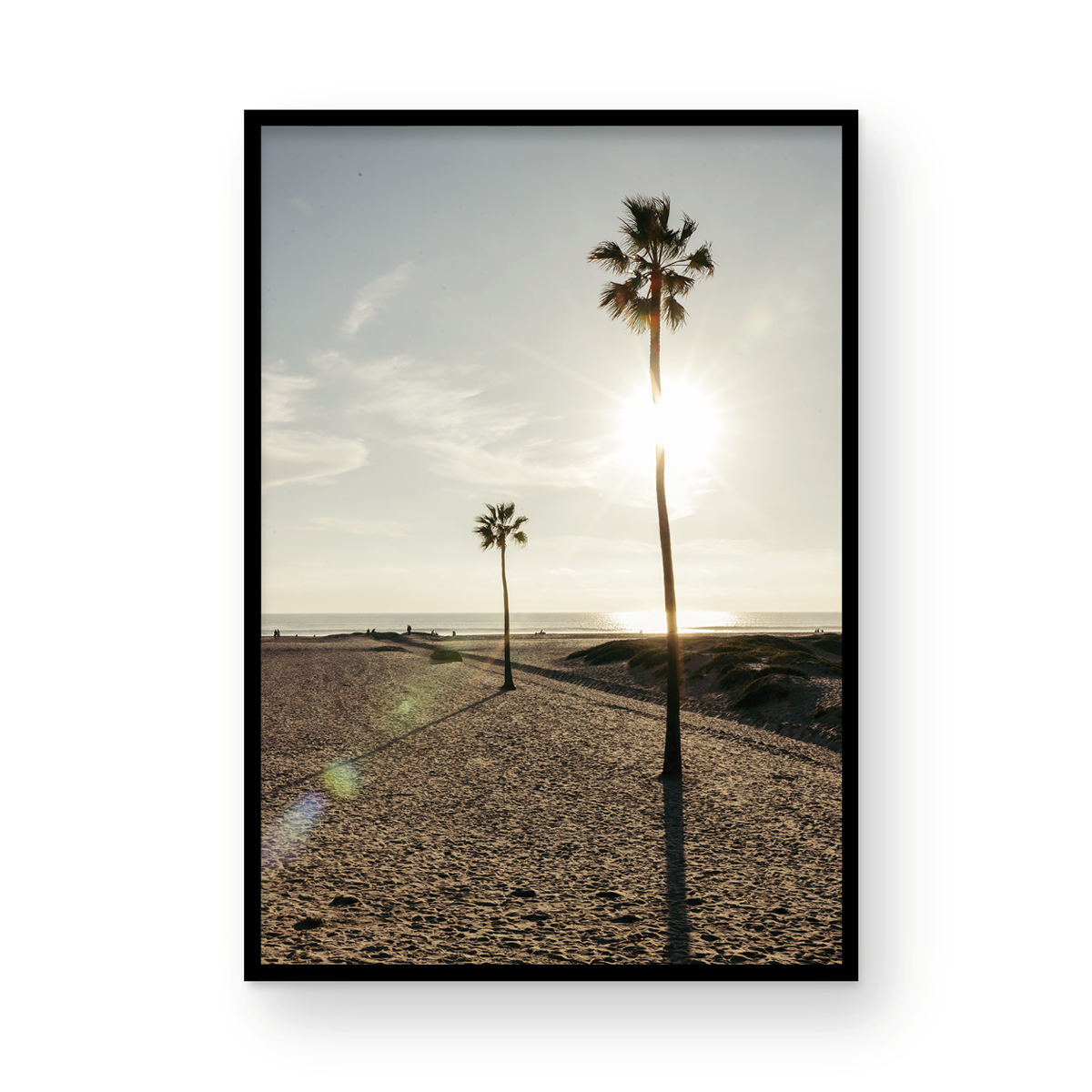 Coronado Island, Seven