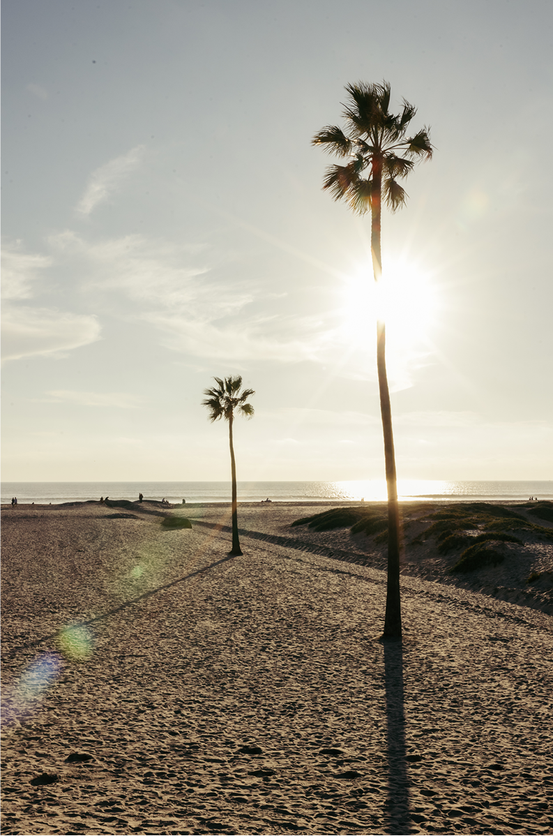 Coronado Island, Seven