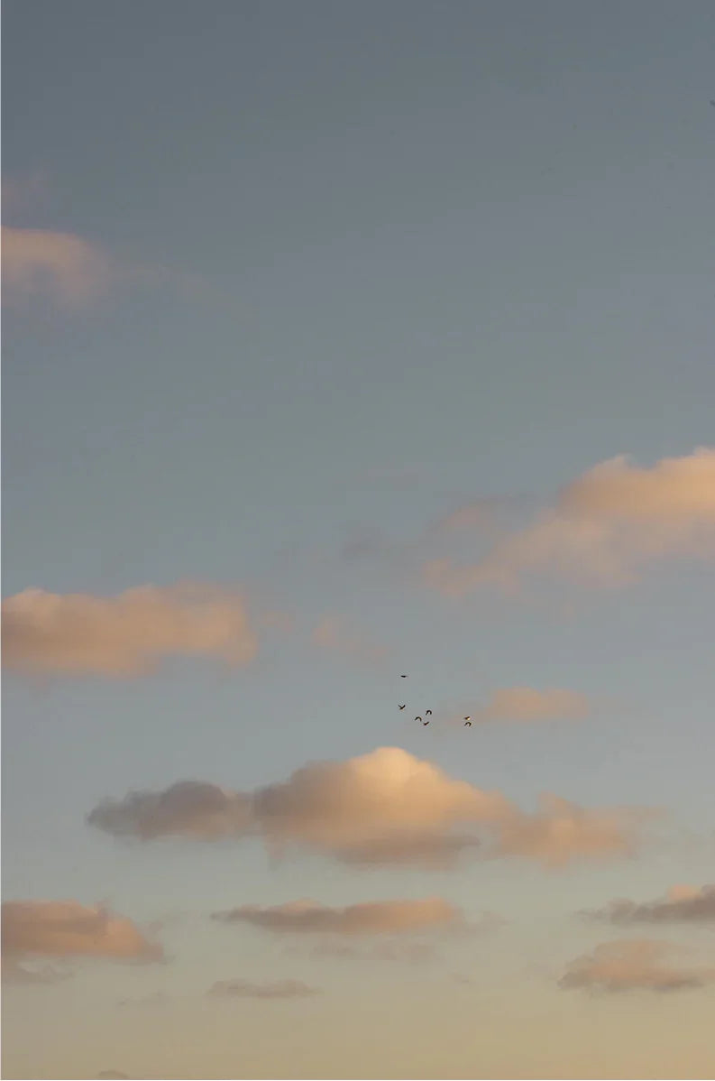 Cloud Study, Seven