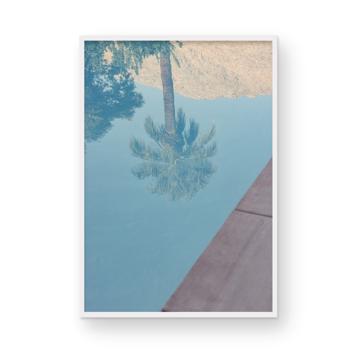 PS Palms, Four