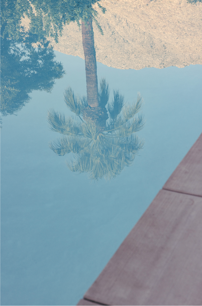 PS Palms, Four