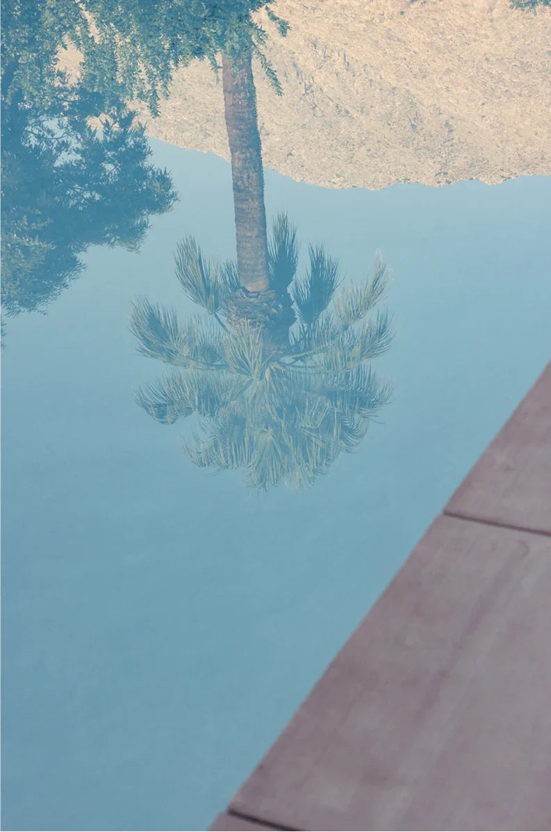 PS Palms, Four
