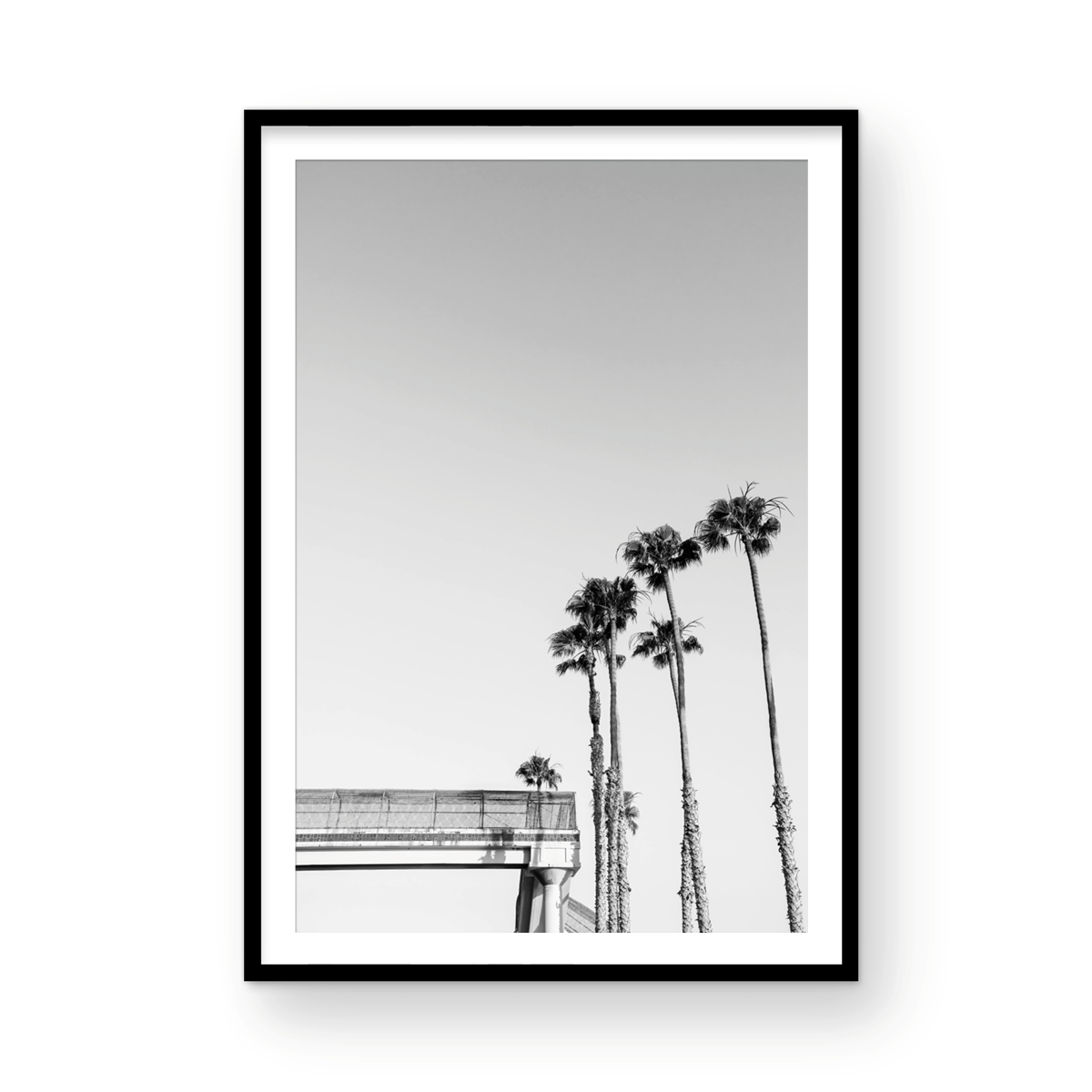 T-Street, Two: Monochrome