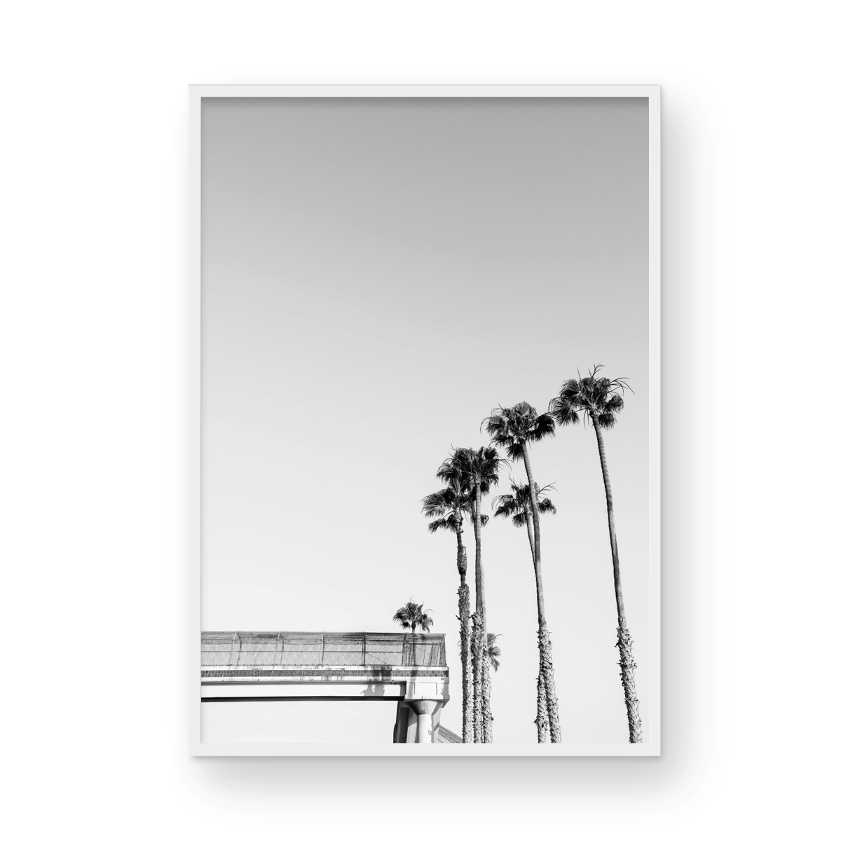 T-Street, Two: Monochrome
