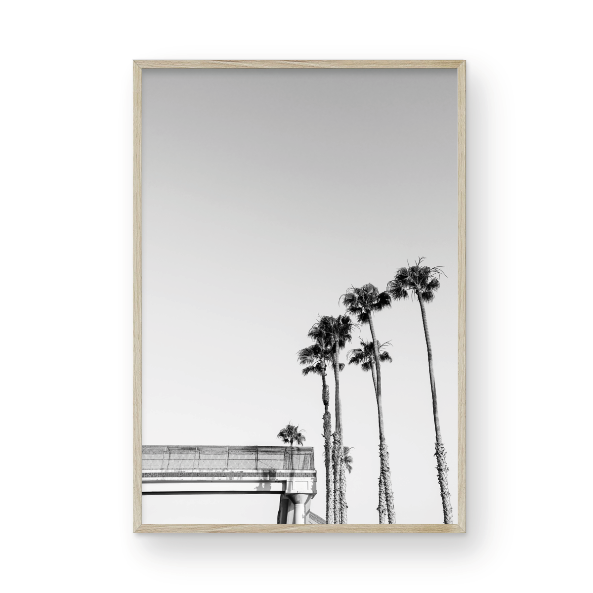T-Street, Two: Monochrome