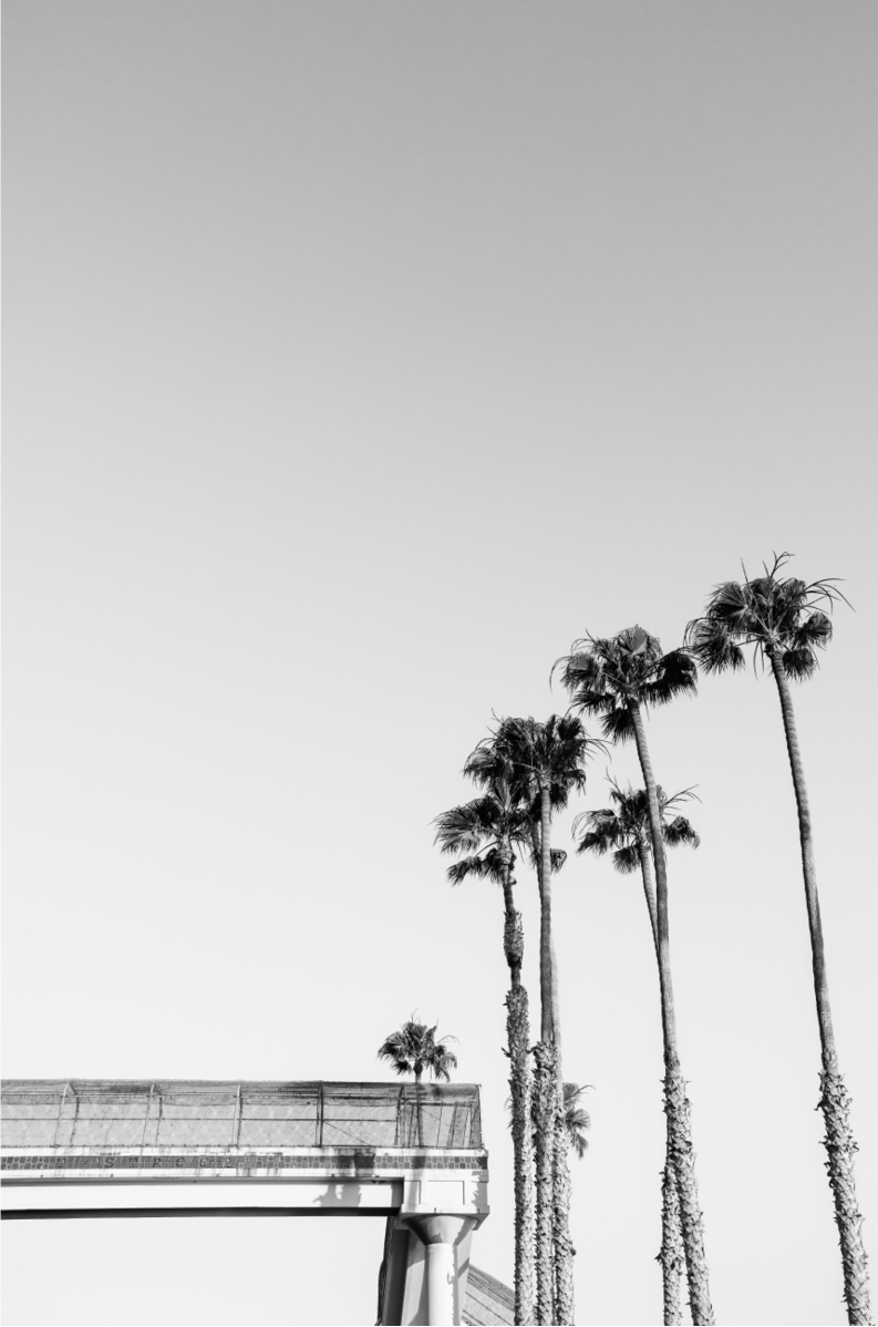 T-Street, Two: Monochrome