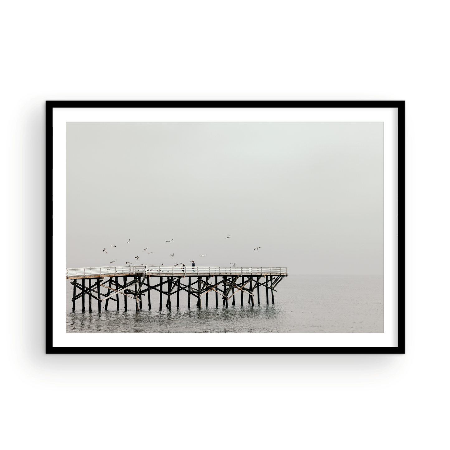 Paradise Cove, Four