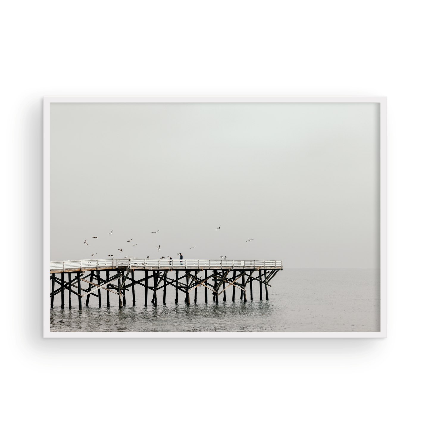 Paradise Cove, Four