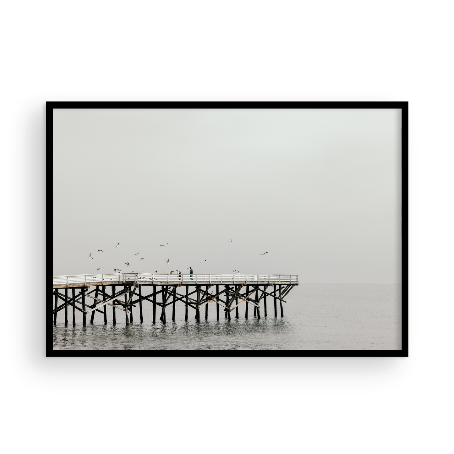 Paradise Cove, Four