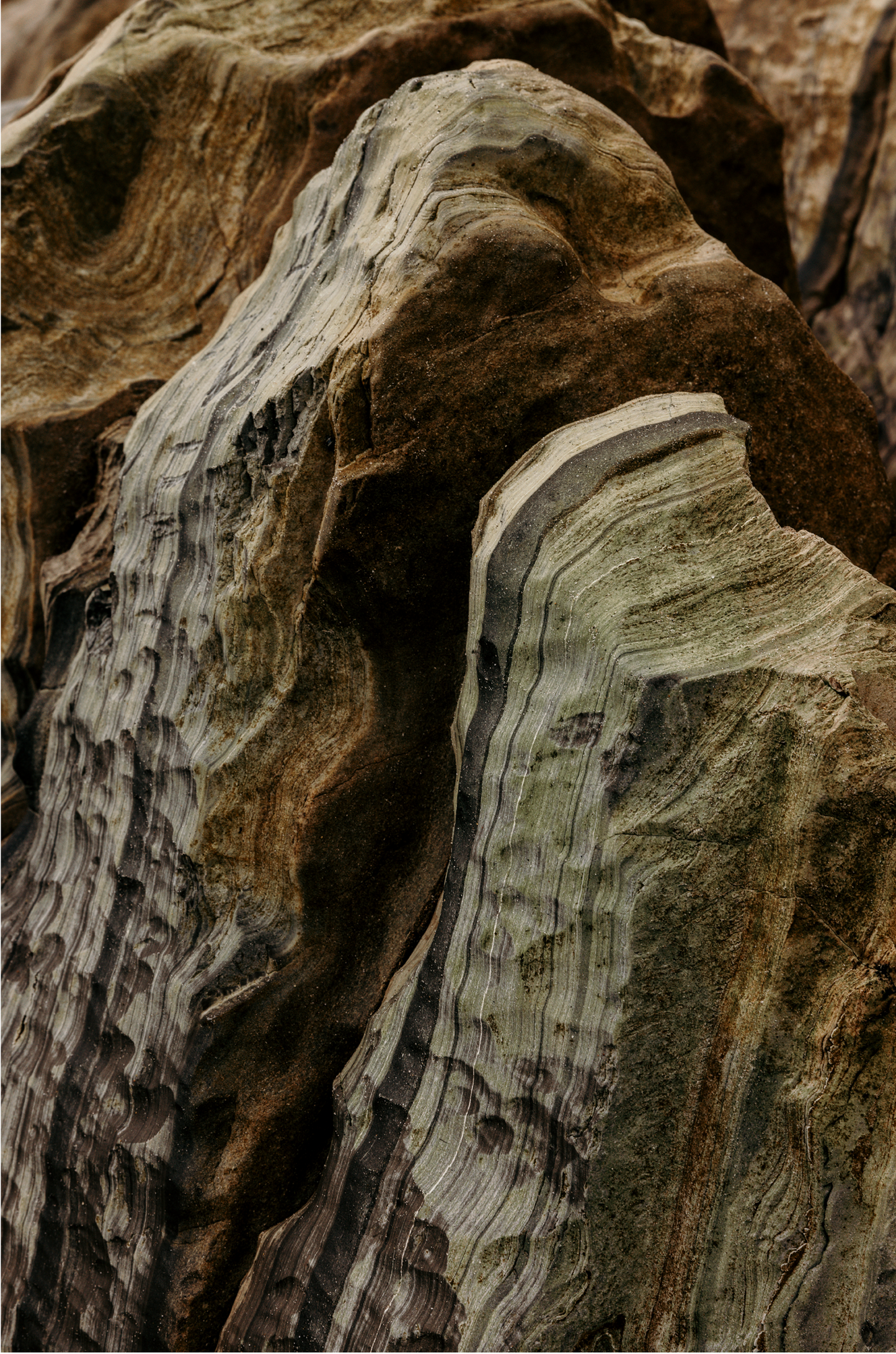 Ramirez Canyon, Six