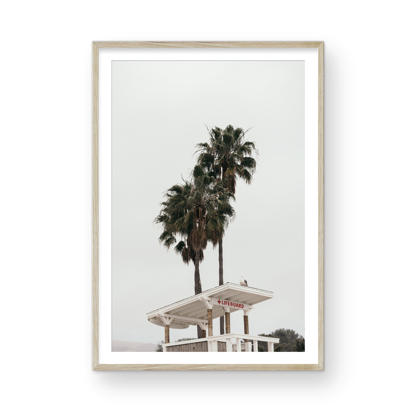 Paradise Cove, Two