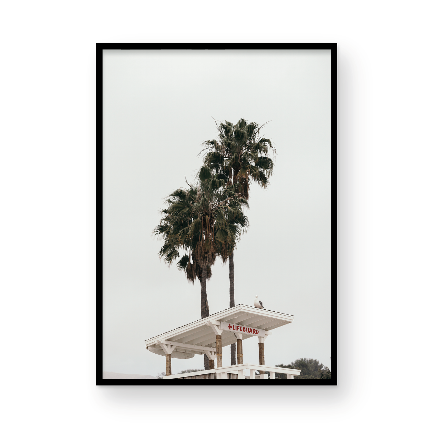Paradise Cove, Two