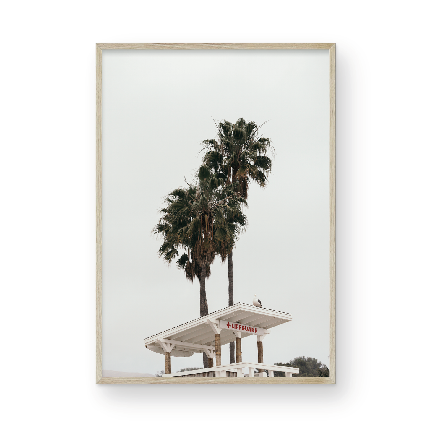 Paradise Cove, Two