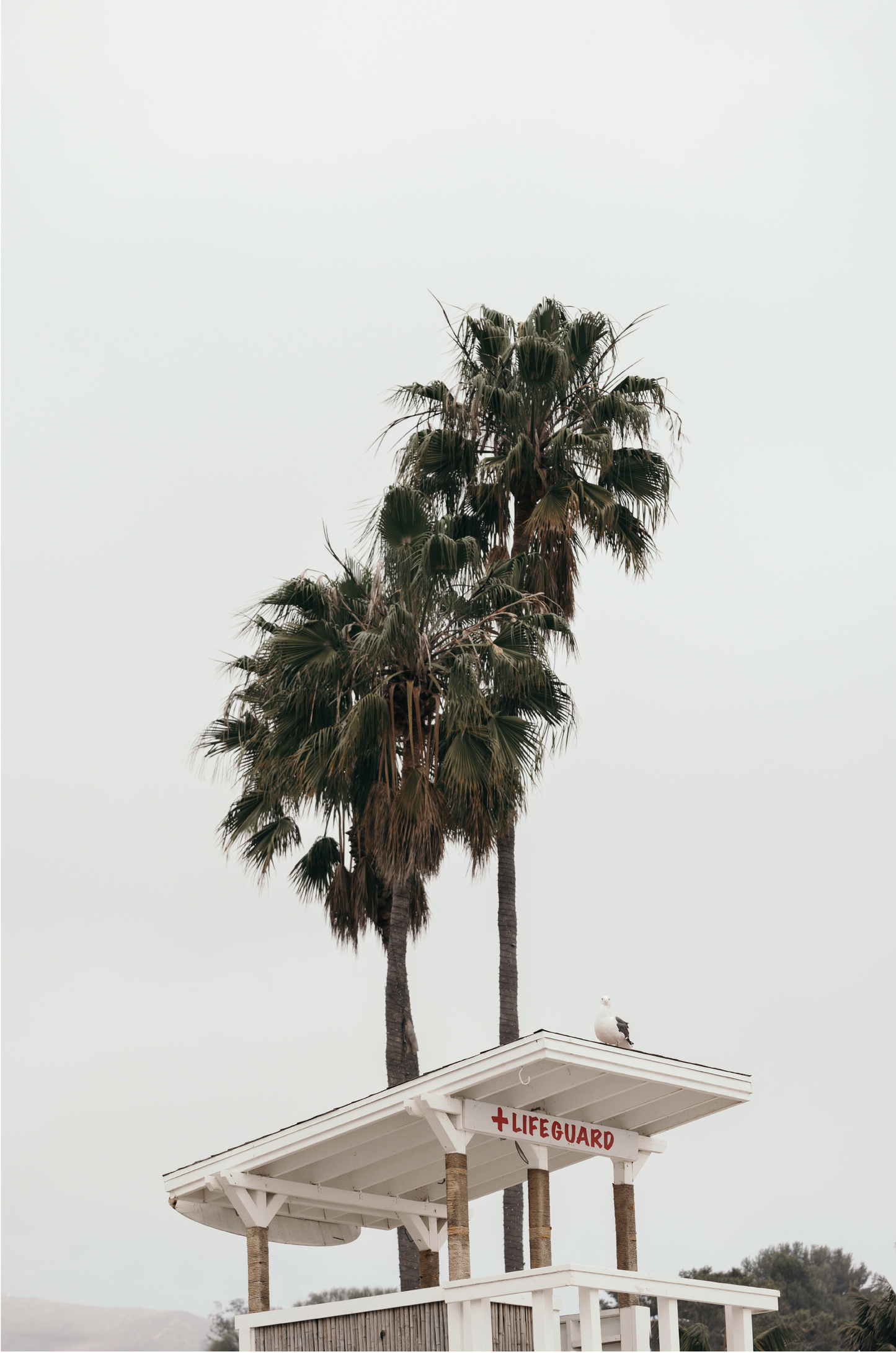 Paradise Cove, Two