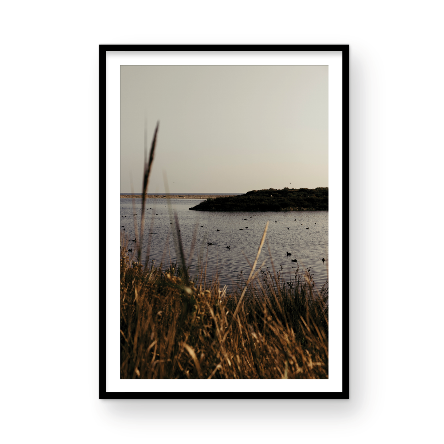 Malibu Lagoon, One